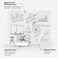 Magnetic whiteboard with educational doodles and attached magnetic stylus
