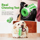 Dog Chewable Bone Shaped Reinforced Gray Shell Teething Stick Pet Toy