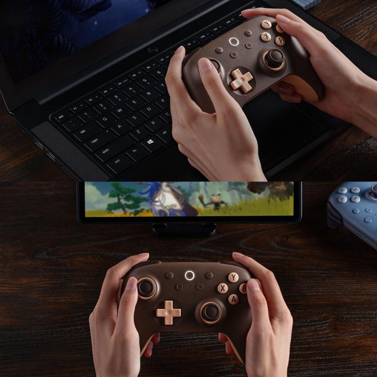 Dark brown wireless game controller held in both hands, showing face buttons and sticks