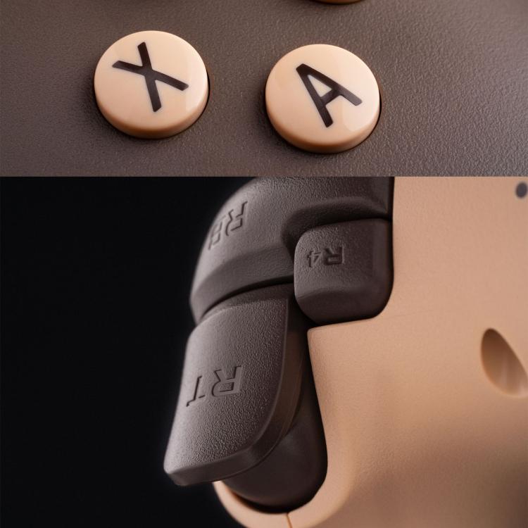 Dark brown controller close-up of face buttons X and triangle and the rear trigger