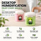 Type-C Mini Desktop Night Light Humidifier, Water Tank Capacity: 300ml, Panda, Angel