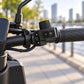 Electric scooter handlebar switch module with power button and protective housing