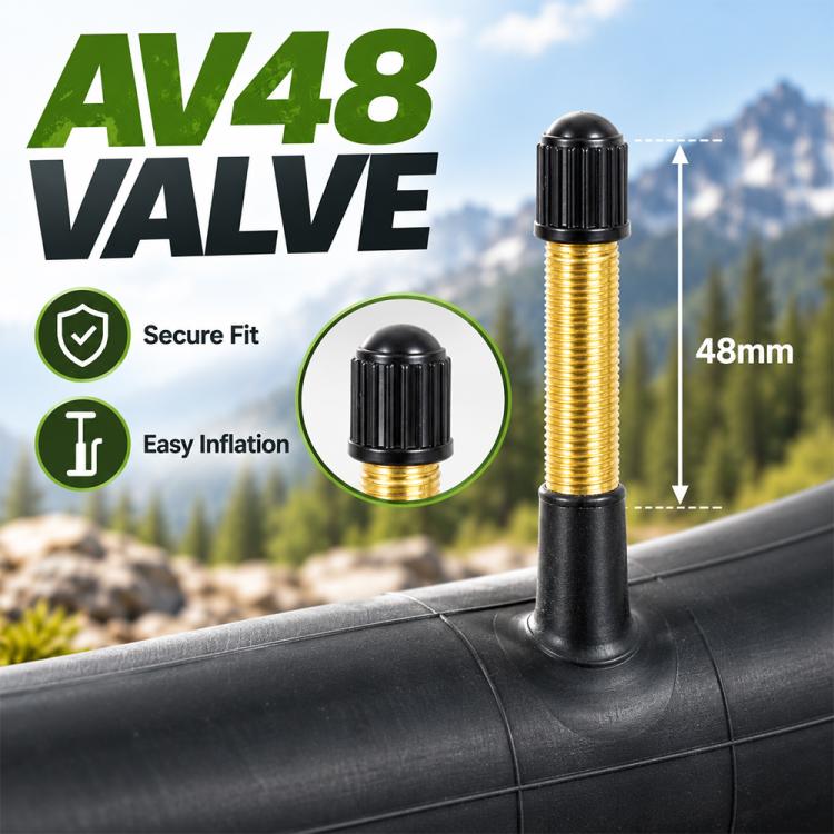 Black inner tube with AV48 American valve, gold insert, 48mm stem shown