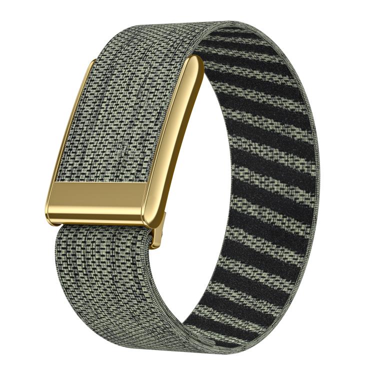 Bright Gold Frame Elastic Force Decorative Design Nylon Watch Band, For WHOOP 5.0 Electrocardiogram, For WHOOP 5.0 Regular