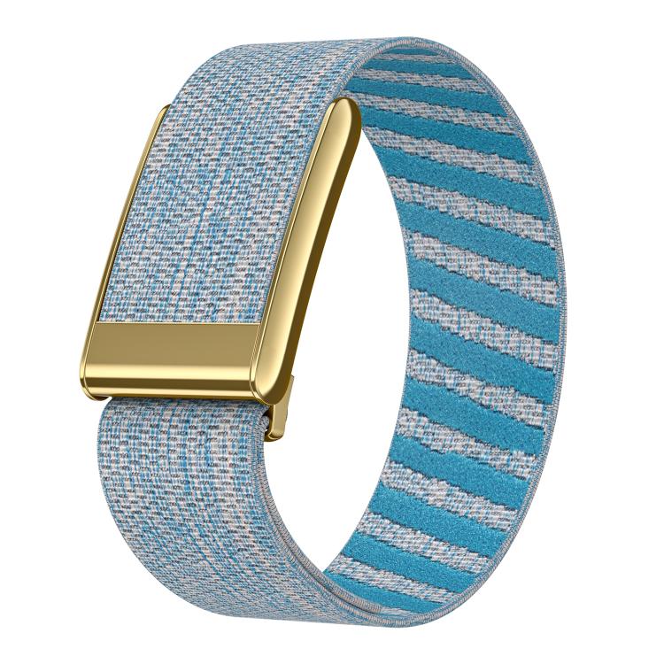 Bright Gold Frame Elastic Force Decorative Design Nylon Watch Band, For WHOOP 5.0 Electrocardiogram, For WHOOP 5.0 Regular