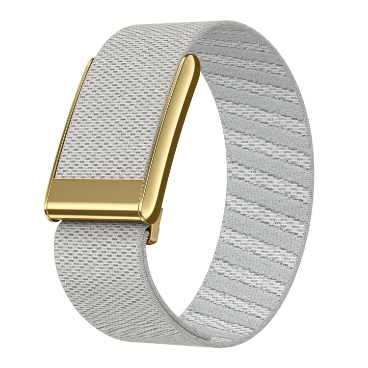 Bright Gold Frame Elastic Force Decorative Design Nylon Watch Band, For WHOOP 5.0 Electrocardiogram, For WHOOP 5.0 Regular