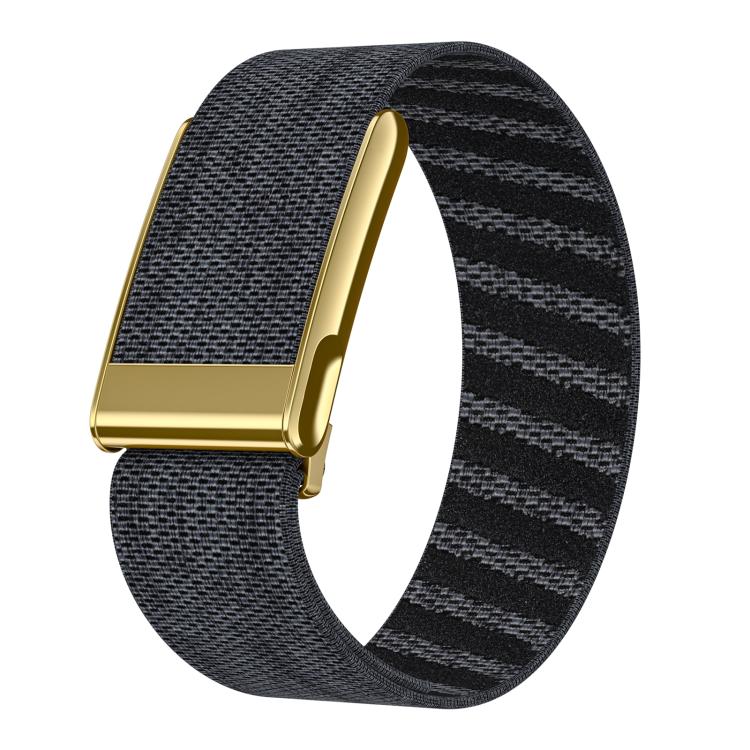 Bright Gold Frame Elastic Force Decorative Design Nylon Watch Band, For WHOOP 5.0 Electrocardiogram, For WHOOP 5.0 Regular