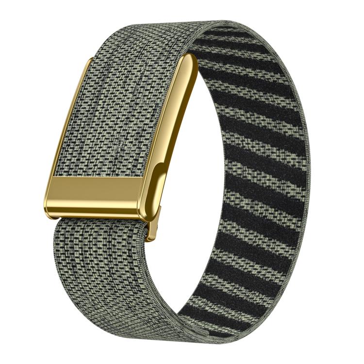 Bright Gold Frame Elastic Force Decorative Design Nylon Watch Band, For WHOOP 5.0 Electrocardiogram, For WHOOP 5.0 Regular