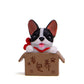 Black-and-white bulldog doll in a brown cardboard box with paw and character prints
