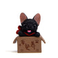 Black bulldog doll in a brown cardboard box with paw and character prints
