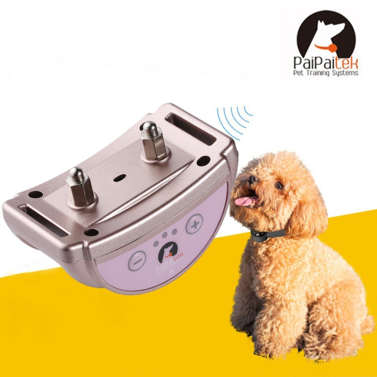 Silver anti-bark dog training collar receiver on small dog