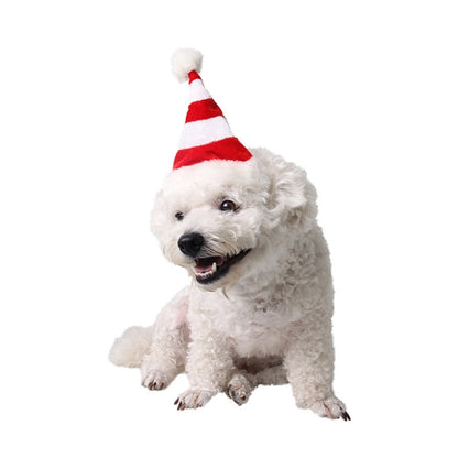 Pet Christmas hat on small dog: red and white striped cone with white faux-fur trim