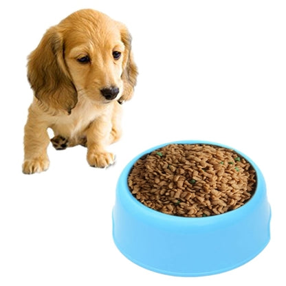 Blue plastic pet food bowl filled with dry kibble, shown with a dog