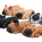 Non-magnetic 3D French bulldog fridge paste set, multiple colored lying dogs