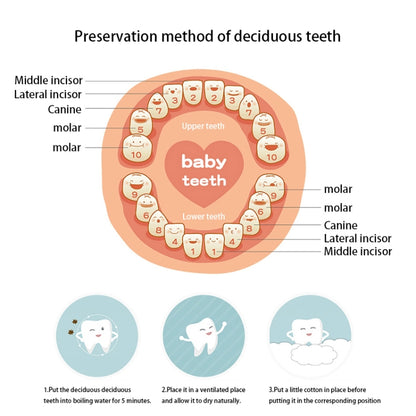 HC2008B_6.jpg@84559f4d5d31ffbf084e20c21782bc34
