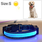 LED dog collar with blue glowing light band on black strap