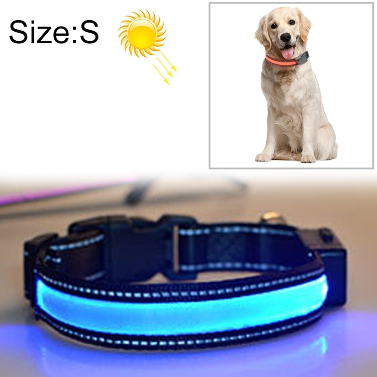LED dog collar with blue glowing light band on black strap