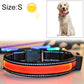 LED dog collar with orange glowing band and black strap