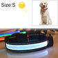 LED dog collar with white glowing light band on black strap
