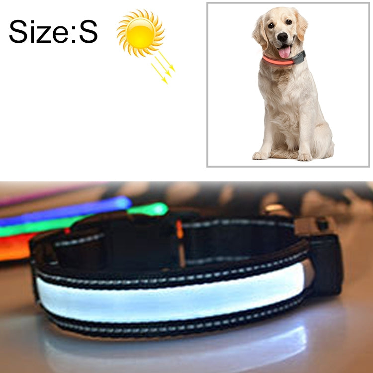 LED dog collar with white glowing light band on black strap