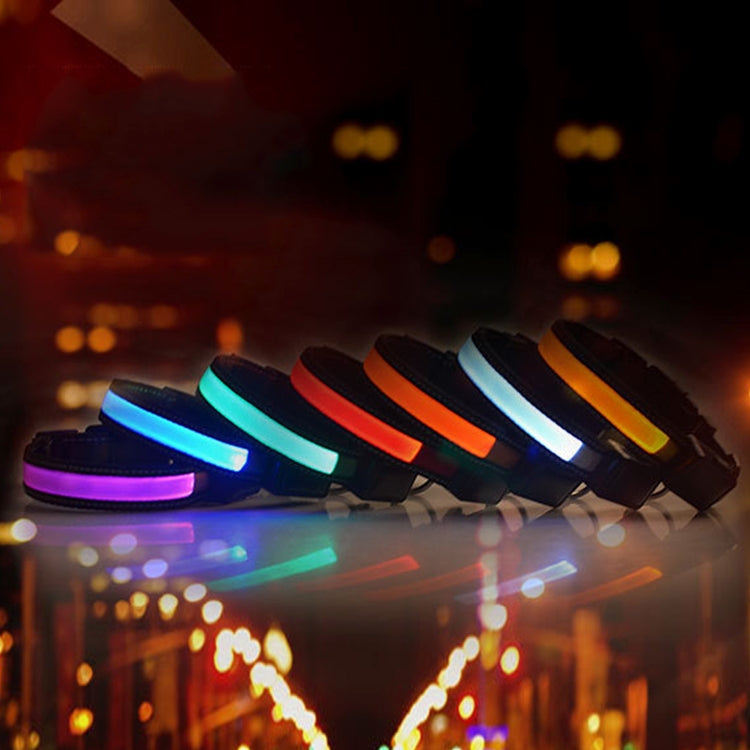 Multi-color LED light dog collars laid out, glowing bands in dark setting