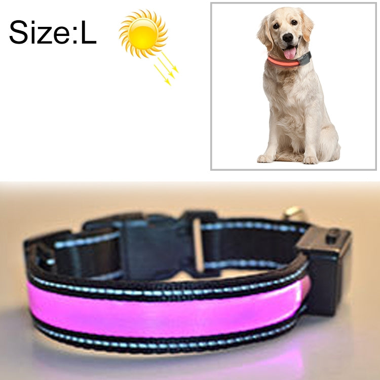 Black LED light-up dog collar with bright pink/purple glow