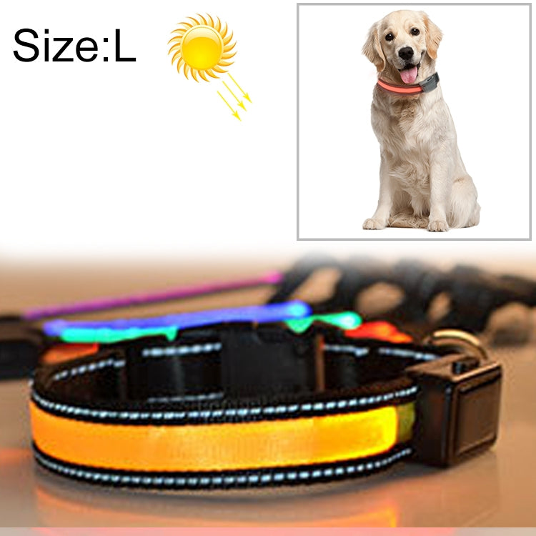 Black LED light-up dog collar with warm yellow-orange glow