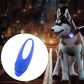 Pet safety LED collar silicone pendant on dog, blue glow