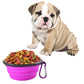 Foldable silicone pet bowl, magenta with kibble inside and purple metal clip