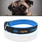 Blue reflective dog collar with adjustable strap and metal D-ring