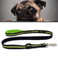 Green-accent reflective nylon dog traction lead leash with metal clasp and adjustable handle