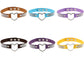 Rhinestone heart choker necklace set in brown, blue, purple, yellow, and black