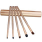5 PCS Handle Eyes Makeup Brush Set with Aluminum Tube