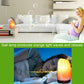 LED0476_11.jpg@206fcedce11db35a29410b8e9933a71a