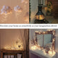 LED0485_6.jpg@31d9ef8218aa42161f50d4bf98ed3a2f