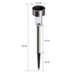 Solar garden stake light with stainless steel body and clear LED lamp, with size diagram
