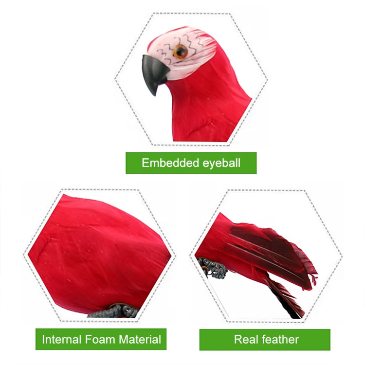 Red simulation parrot decoration detail set with realistic eye and feather sections