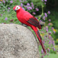Simulated parrot bird garden decoration, red with white face and black beak