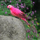 Simulated parrot bird garden decoration, pink with light face and black beak