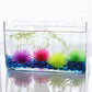 Colorful spiky sea urchin ball coral decorations inside a clear aquarium tank