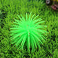 Green TPR sea urchin ball coral decoration with spiky tentacles, 13cm