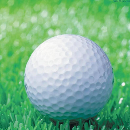 Synthetic Rubber Driving Range Golf Balls, Double Layer Blank Elastic Golf Balls, Rubber Ball White