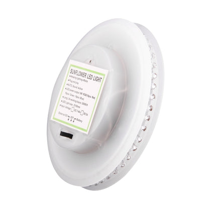 PRC0005W_4.jpg@8d05a9867369ed4637b2be3057b32280