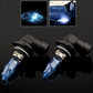 Halogen car headlight bulbs pair, blue glass bulbs, black housings with metal bases.