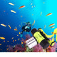 S-FLED-0446_5.jpg@b35ae668772eebd9b50337a9e1c5ffa1