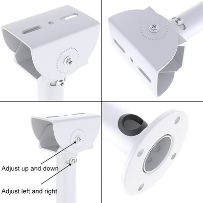 SPC5620_3.jpg@d54167dc11316b52679e88d476f0bb7c