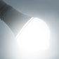 SYA0014070_5.jpg@bf6a8883594547ce8ef23418d45fbf5e