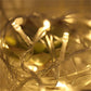50M LED string lights close-up with warm white bulbs on clear wire