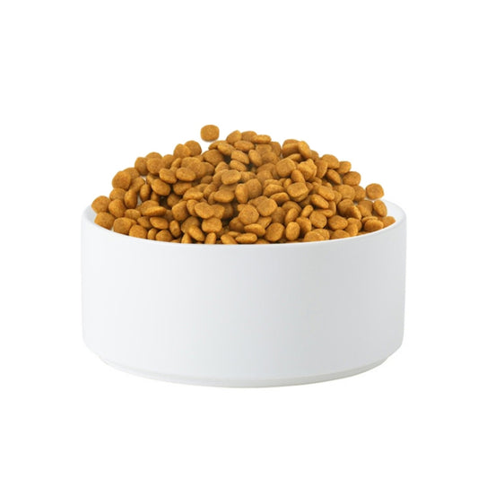 White ceramic pet food bowl filled with kibble, single bowl