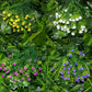 TBD0364853301C_3.jpg@fd2905a75e627f34bc6781e8e21ae094
